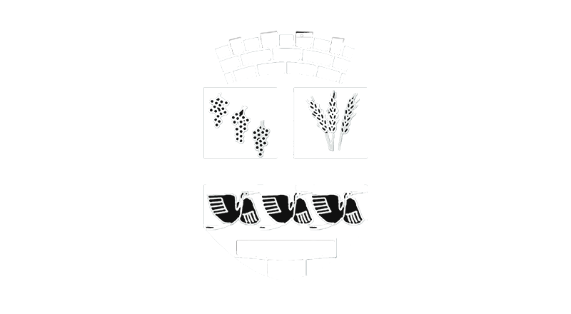 Grad Vinkovci