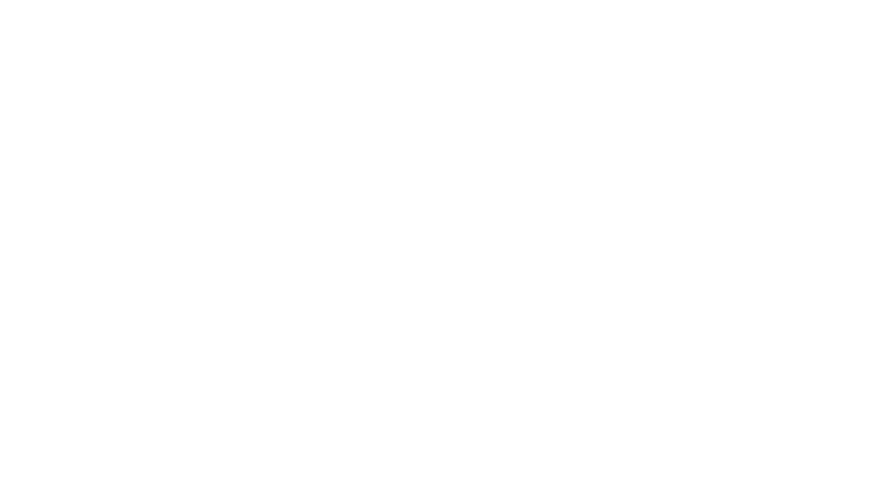 Francuski Institut